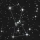 Orion