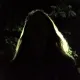 Spookshow-baby